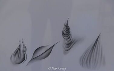 IMG_8739