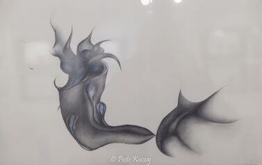 IMG_8738