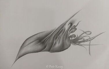 IMG_8731