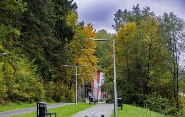 IMG_0227