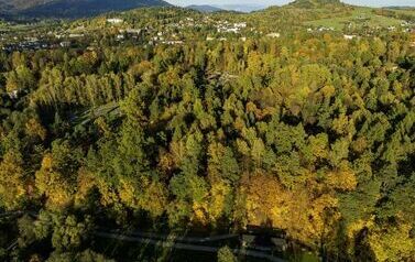 DJI_0753