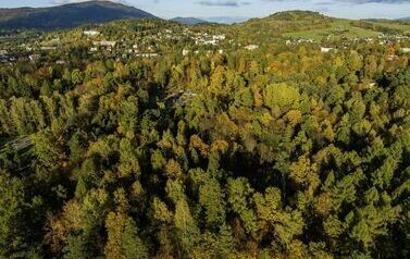 DJI_0741