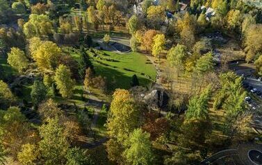 DJI_0624
