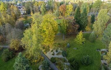 DJI_0579