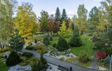 DJI_0576