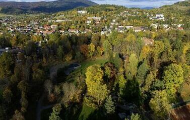 DJI_0546