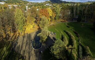 DJI_0510