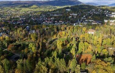 DJI_0474