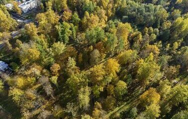 DJI_0399