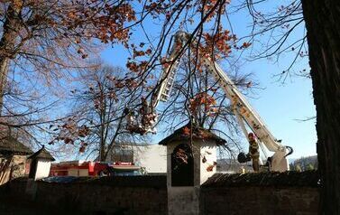 IMG_7974_Easy-Resize.com