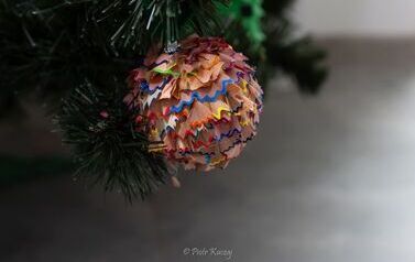 IMG_1583