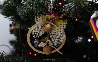 IMG_1559