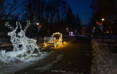 IMG_8528