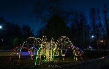 IMG_1318