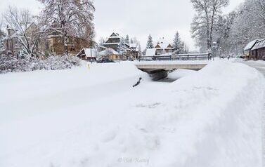 IMG_4472