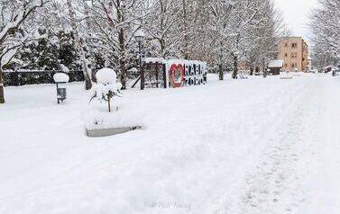 IMG_4458