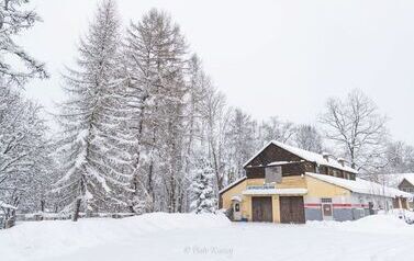 IMG_4441