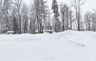 IMG_4440
