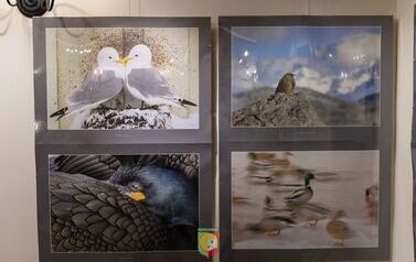 IMG_6149