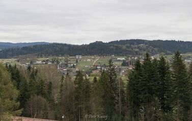 IMG_9587