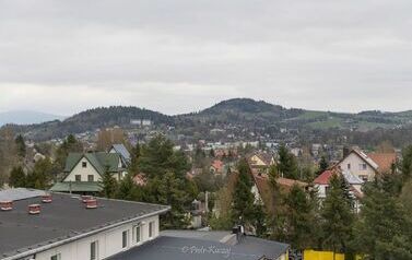 IMG_9584