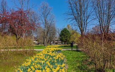 DJI_20260428113115_0968_D