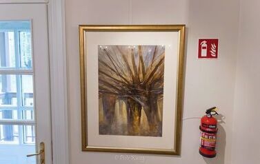 IMG_1986