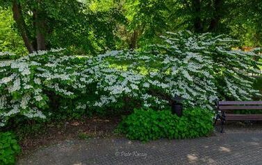DJI_20260602134200_0694_D
