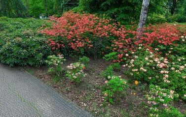 DJI_20260602132214_0638_D