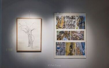 IMG_7427