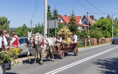 IMG_5491