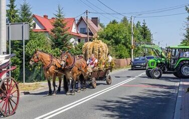 IMG_5481