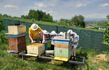 2024-03-01-Pasieka Edukacyjna na Krzywoniu