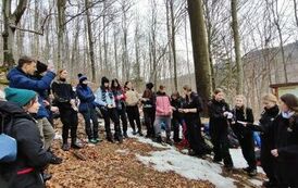 e472311f-b1cb-438c-9ad2-90400dc22795