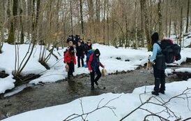 d0cb1bf7-96d7-4f87-b570-7ae498186548