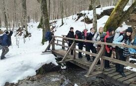 c2742110-f2c3-4e13-bc04-7423d6b47620