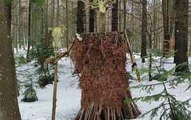 a66fefdb-a589-4d02-ab48-d43db72d98a0