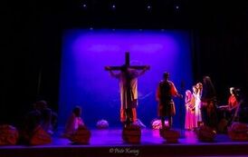 IMG_6812