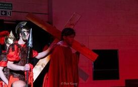 IMG_6739