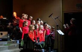 IMG_6557