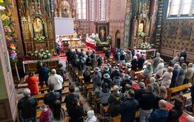 IMG_8650