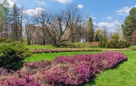 DJI_20260428115029_0017_D