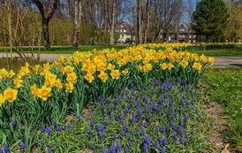 DJI_20260428113137_0970_D