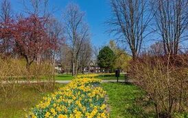 DJI_20260428113115_0968_D