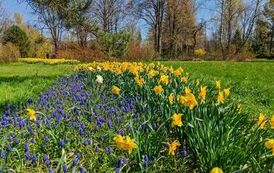DJI_20260428112942_0960_D