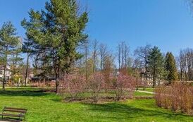 DJI_20260428112347_0938_D
