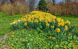DJI_20260428105916_0933_D