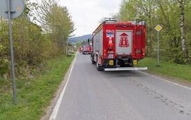 IMG_2161