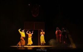 IMG_4244