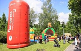 IMG_6623